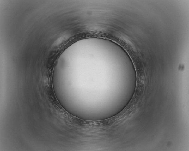 X0000094320869200711091339