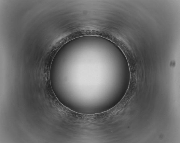 X0000094320870200711091339