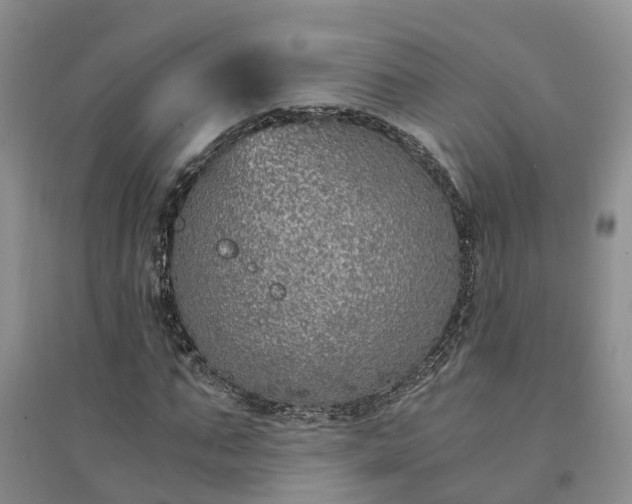 X0000094320871200711091339