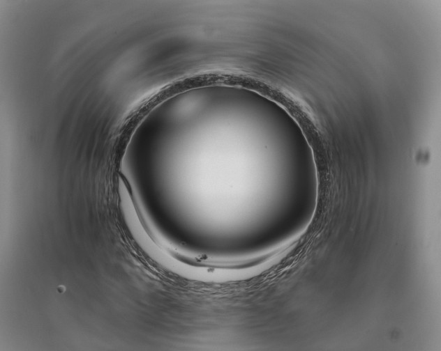 X0000094320872200711091339