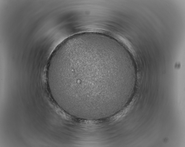 X0000094320875200711091339