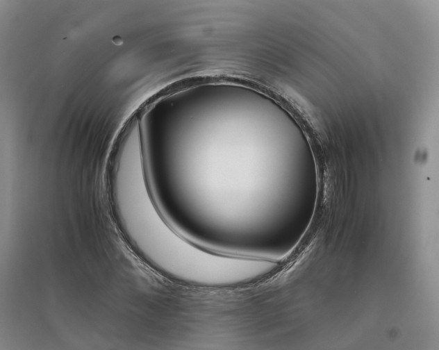 X0000094320876200711091339