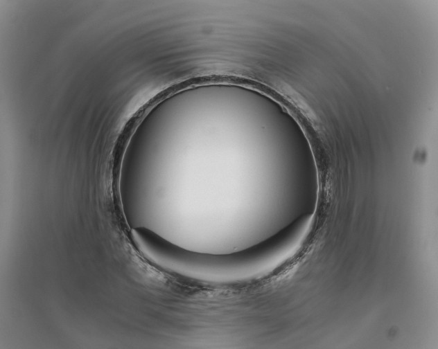 X0000094320877200711091339