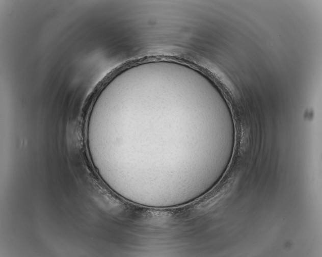 X0000094320878200711091339