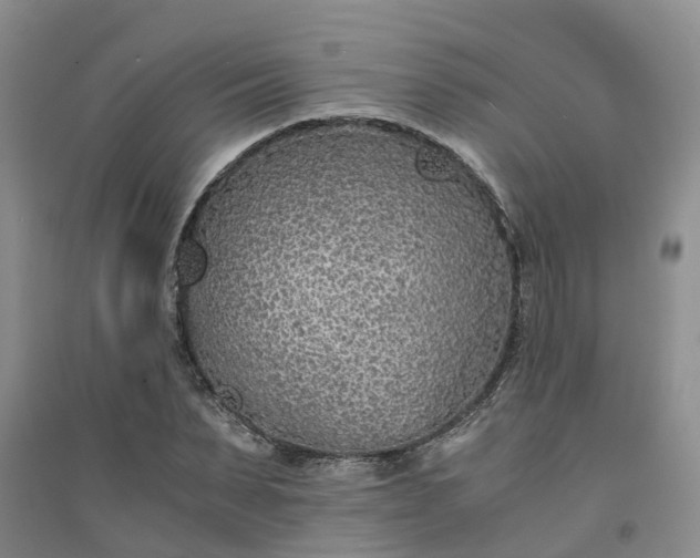 X0000094320879200711091339