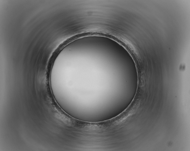 X0000094320880200711091339
