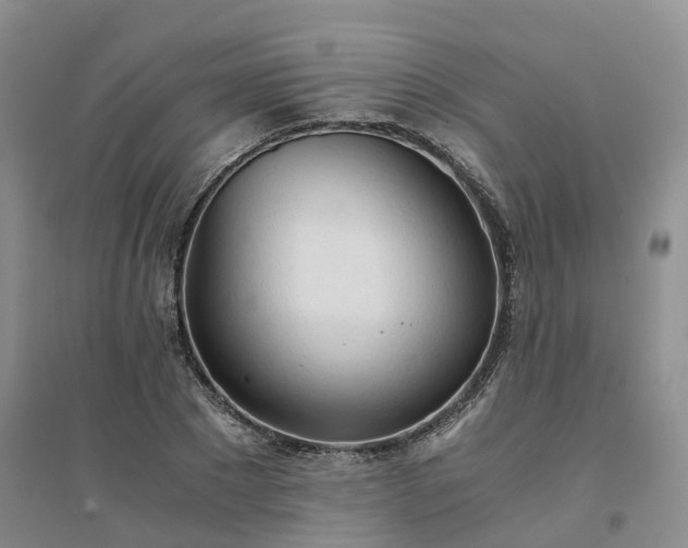 X0000094320881200711091339