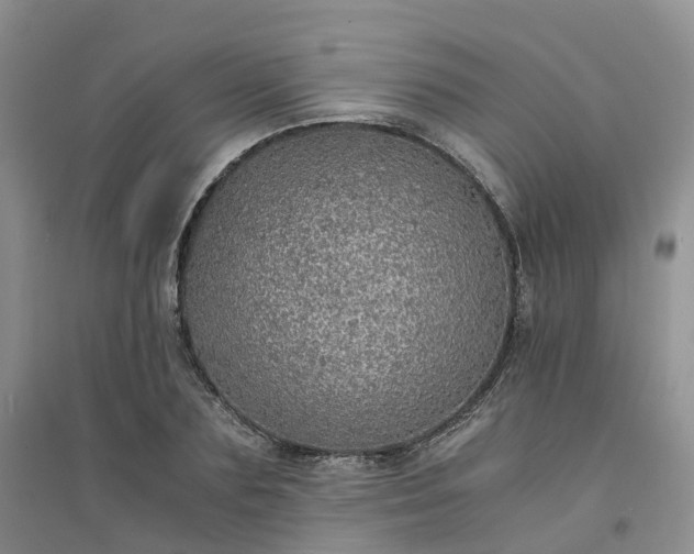 X0000094320883200711091339