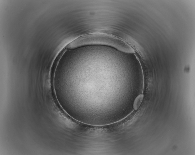 X0000094320884200711091339