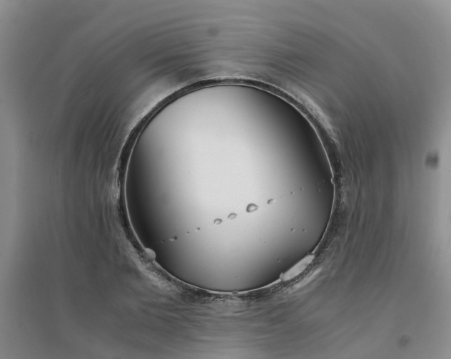 X0000094320885200711091339