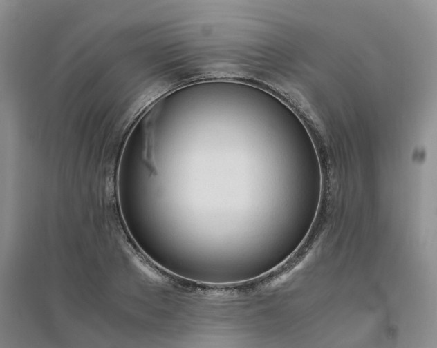 X0000094320889200711091339