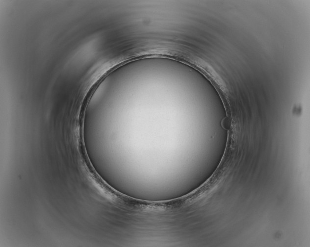 X0000094320890200711091339