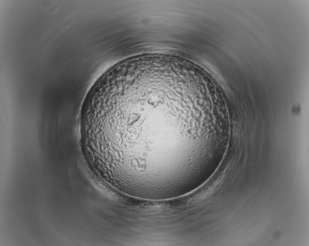 X0000094320891200711091339