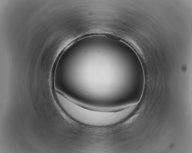 X0000094320893200711091339