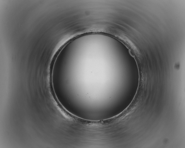 X0000094320894200711091339