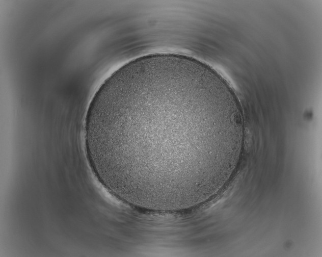 X0000094320895200711091339