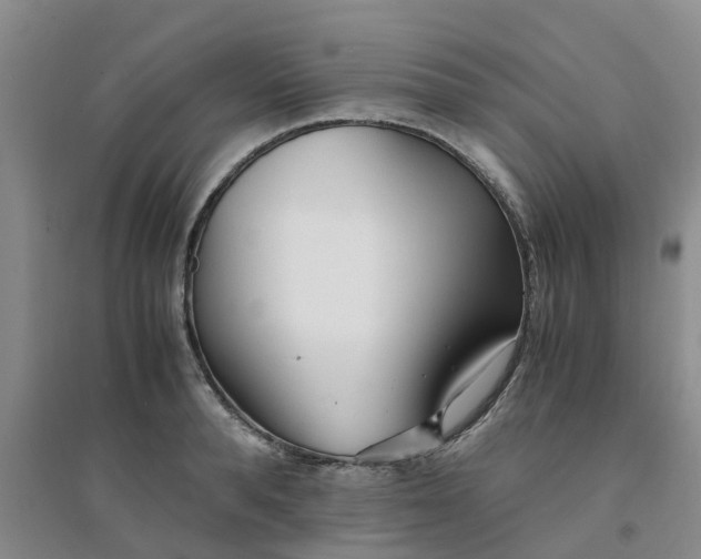 X0000094320896200711091339
