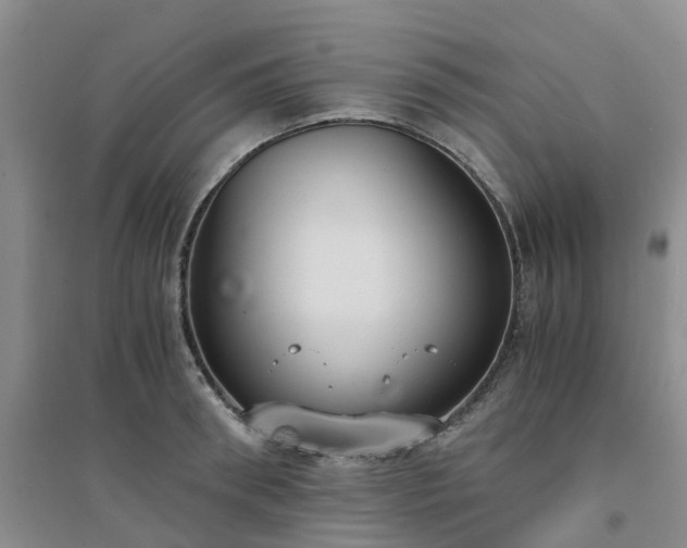 X0000094320898200711091339