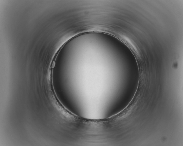 X0000094320900200711091339