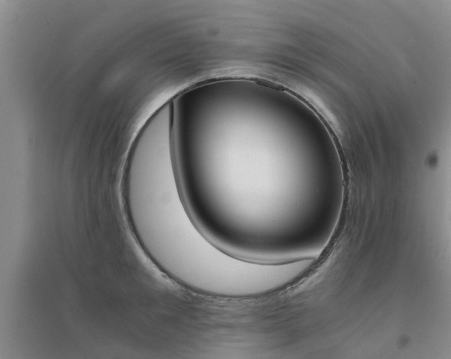 X0000094320901200711091339
