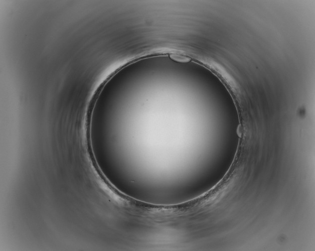 X0000094320902200711091339