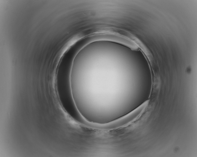 X0000094320909200711091339