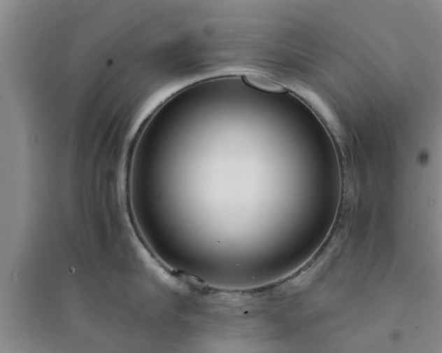 X0000094320910200711091339