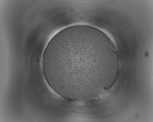 X0000094320911200711091339