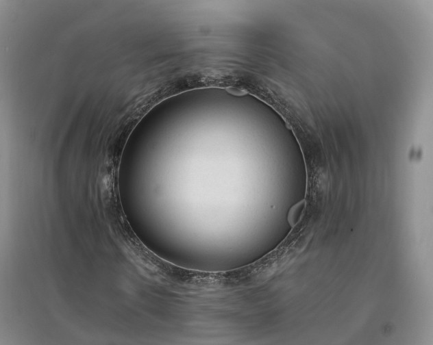 X0000094320914200711091338