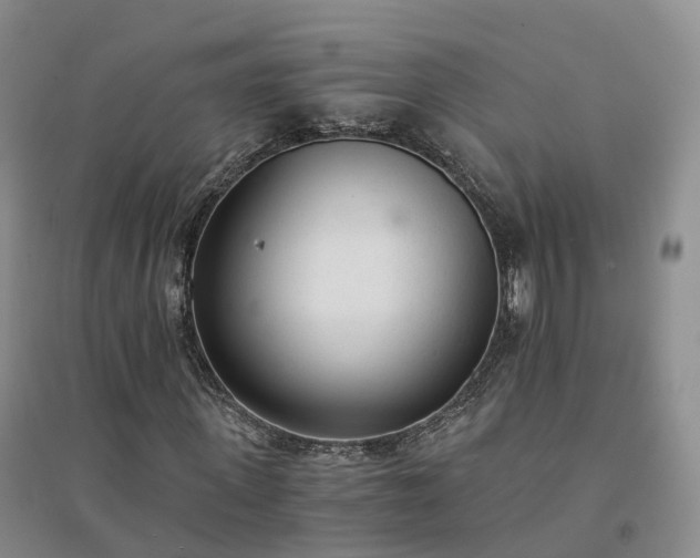 X0000094320915200711091338