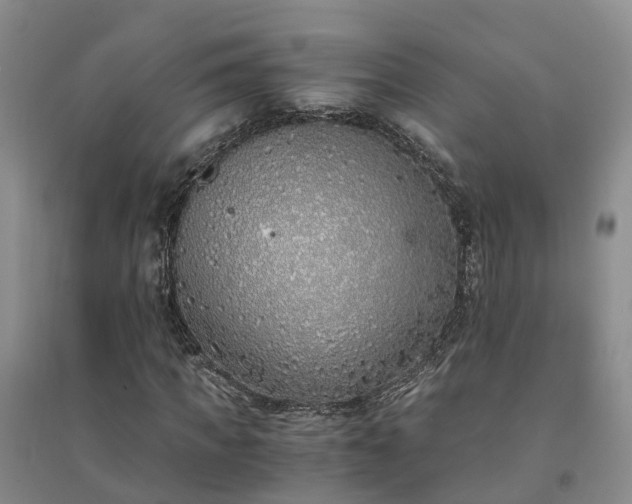 X0000094320917200711091338