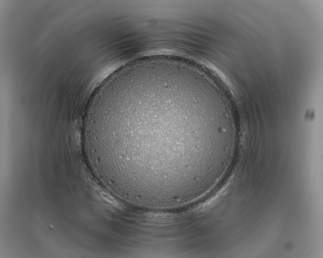 X0000094320921200711091338