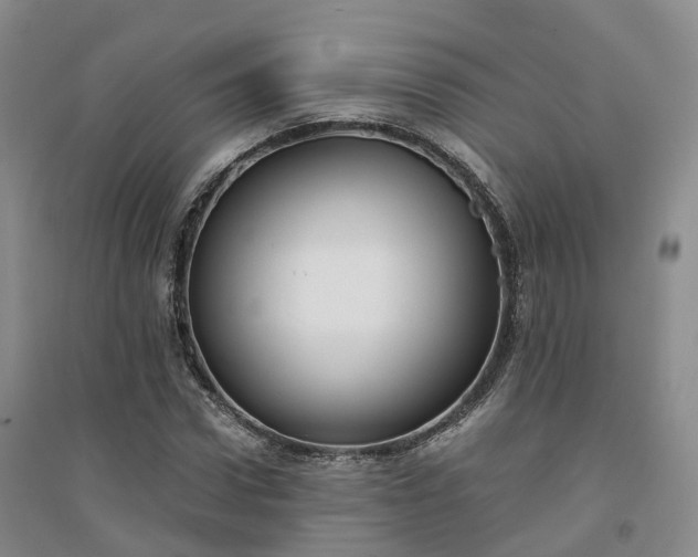 X0000094320922200711091338