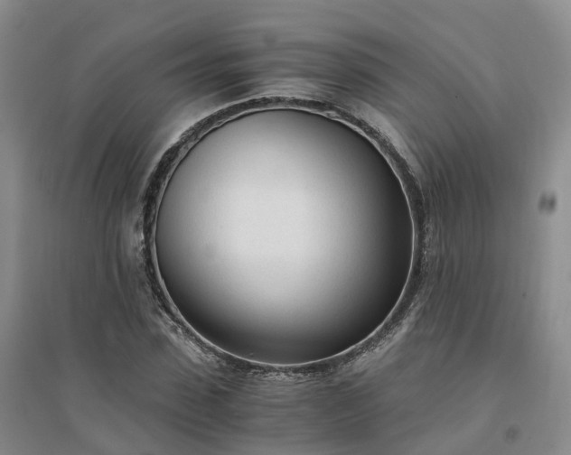 X0000094320923200711091338