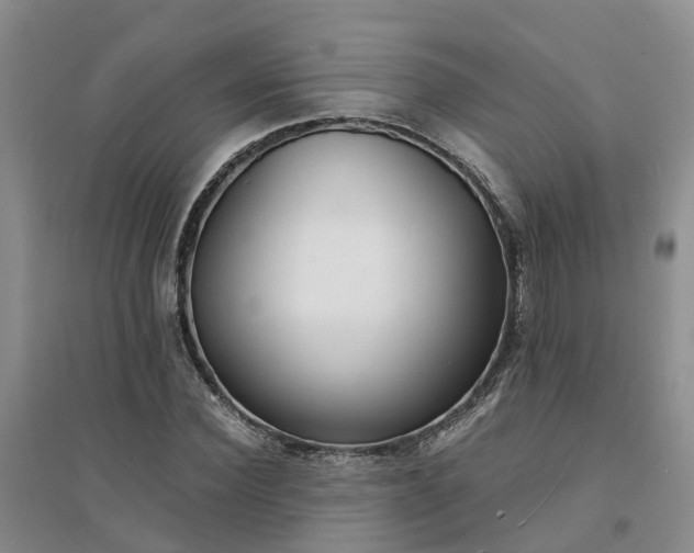 X0000094320924200711091338