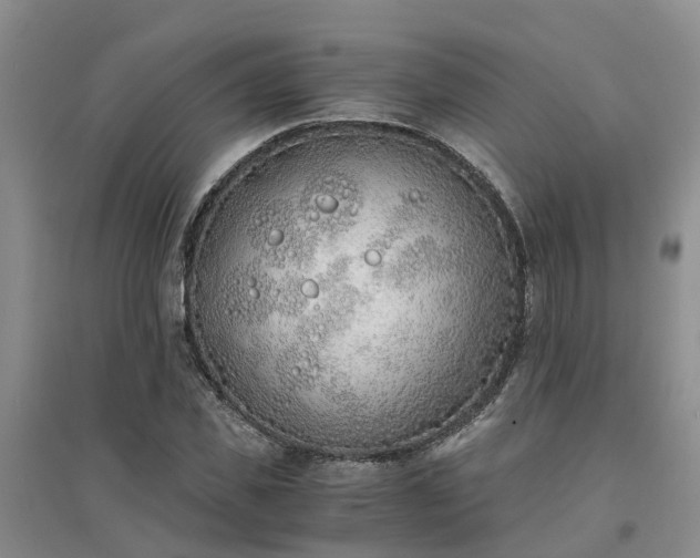 X0000094320925200711091338