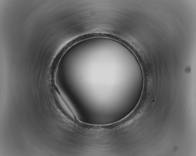 X0000094320926200711091338
