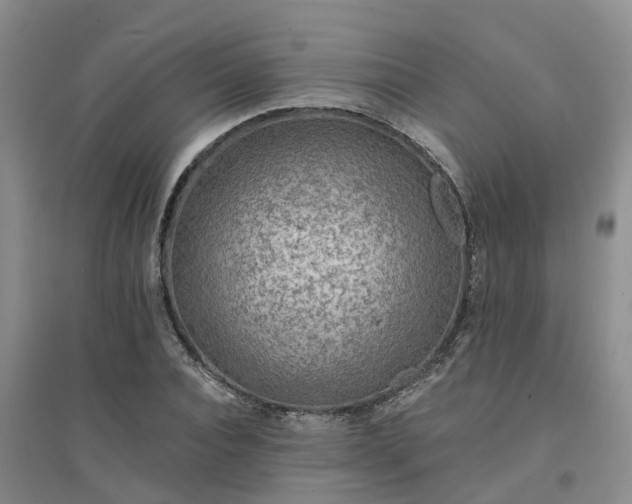 X0000094320928200711091338