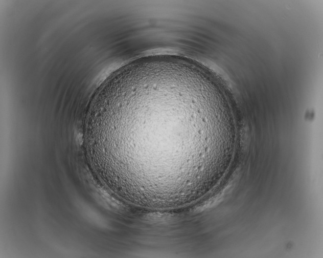 X0000094320929200711091338