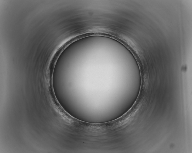 X0000094320931200711091338