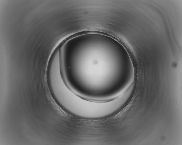 X0000094320932200711091338