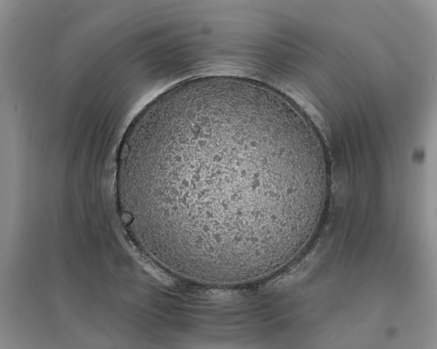 X0000094320933200711091338
