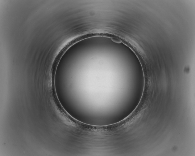 X0000094320934200711091338