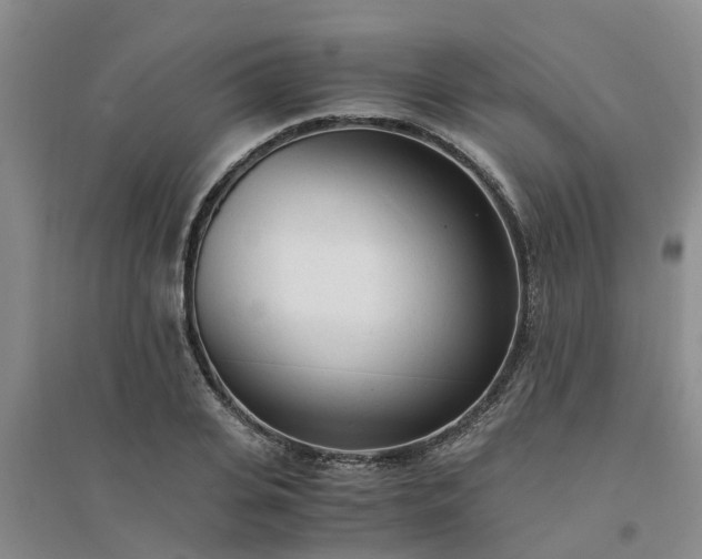 X0000094320935200711091338