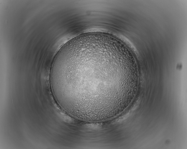 X0000094320937200711091338
