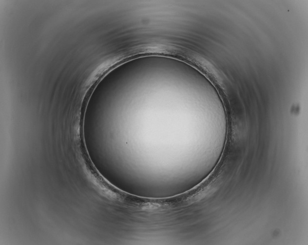 X0000094320938200711091338