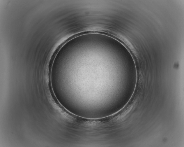X0000094320939200711091338