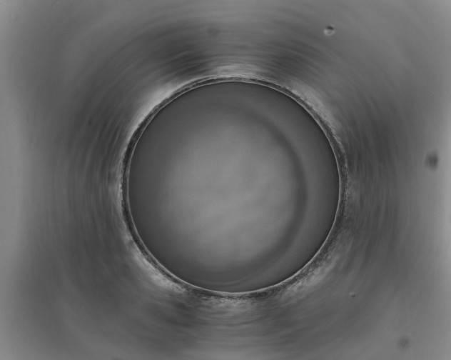 X0000094320941200711091338