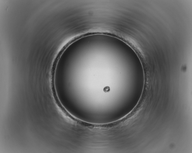 X0000094320942200711091338