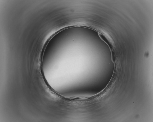 X0000094320944200711091338
